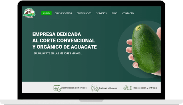 Screenshotsweb 2