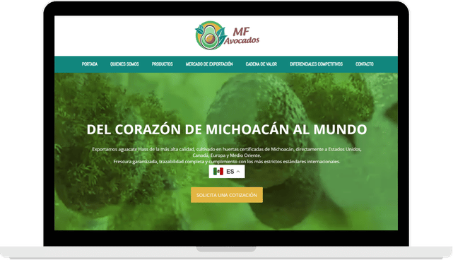 Screenshotsweb 6