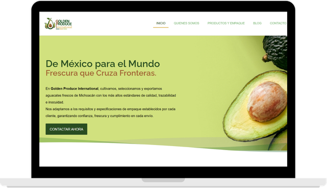 Screenshotsweb